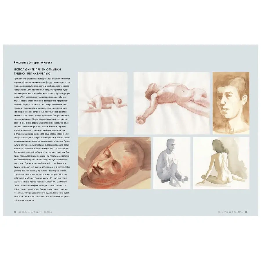 изображение Ости р. основы анатомии человека. наглядное руководство для художников