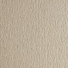 картинка Бумага цветная fabriano cartacrea 220г 21x29,7 сер теп