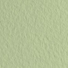 изображение Бумага для пастели fabriano tiziano, 160 г/м2, лист а4, зелёный светлый № 11