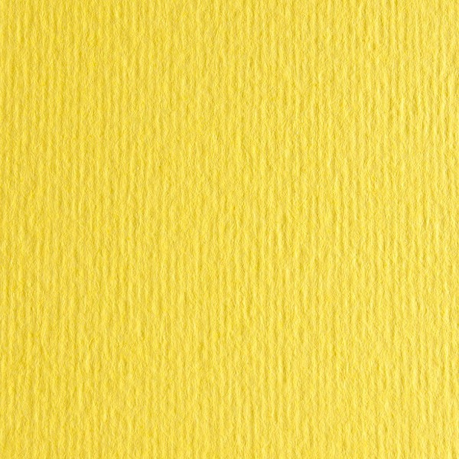 картинка Бумага цветная fabriano cartacrea 220г 21x29,7 кедров