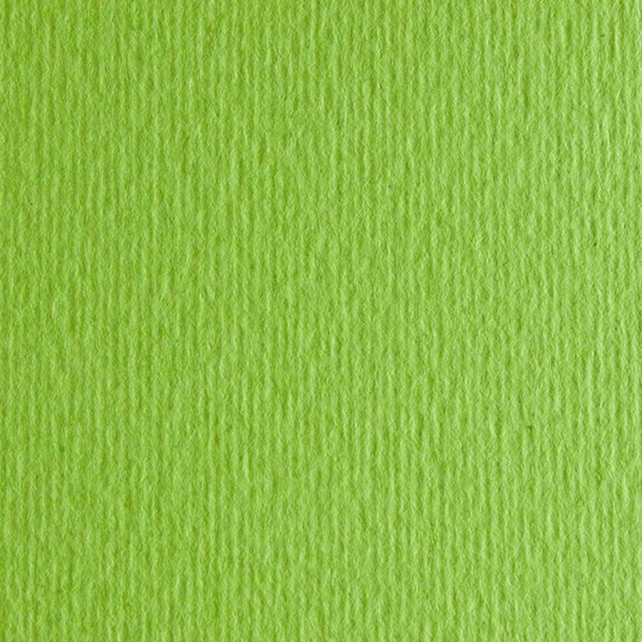 фото Бумага цветная fabriano cartacrea 220г 21x29,7 зелен