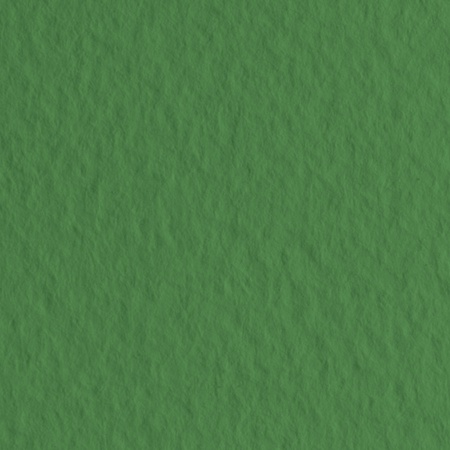 изображение Бумага для пастели fabriano tiziano, 160 г/м2, лист 50x65 см, зелёное сукно № 37