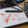 картинка Цветные карандаши posca, набор 36 цветов