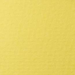 фото Бумага для пастели lana, 160 г/м2, лист а3, светло-жёлтый