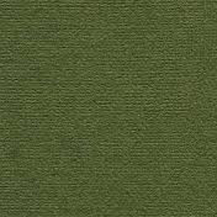 фотография Бумага для пастели палаццо гознак, 160 г/м2, лист а4, тёмные джунгли