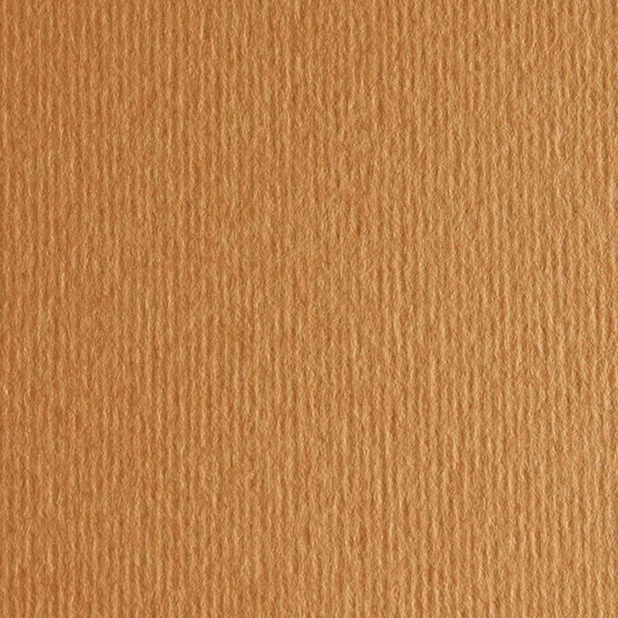 изображение Бумага цветная fabriano cartacrea 220г 21x29,7 сиена
