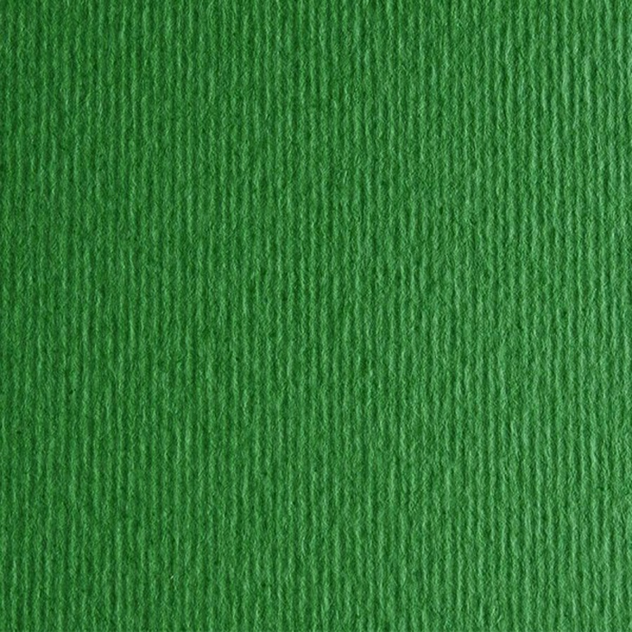 картинка Бумага цветная fabriano cartacrea 220г 21x29,7 трав