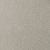 фотография Бумага для пастели lana, 160 г/м2, лист а3, холодный серый