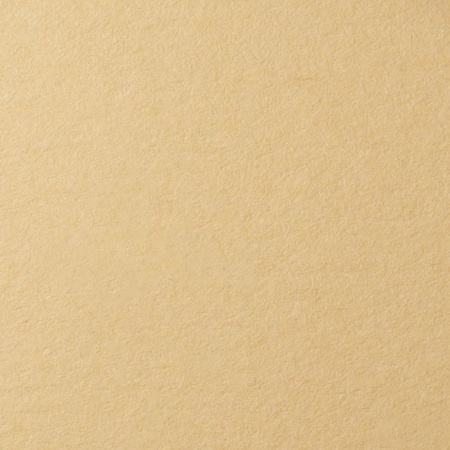 картинка Бумага для пастели lana, 160 г/м2, лист 50х65 см, песочный