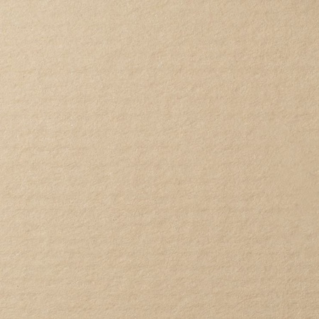 картинка Бумага для пастели lana, 160 г/м2, лист 50х65 см, бело-серый