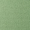изображение Бумага для пастели lana, 160 г/м2, лист 70х100 см, зелёный сок