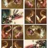 картинка Calambour бумага для декупажа dge 03, 35*50 см, фото девушки с цветами