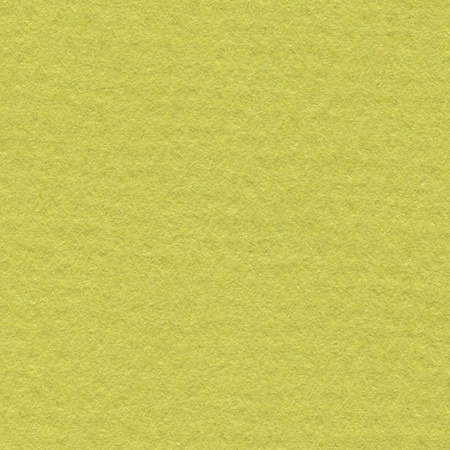 фотография Бумага для пастели lana, 160 г/м2, лист а4, фисташковый