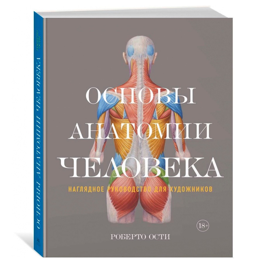 фото Ости р. основы анатомии человека. наглядное руководство для художников