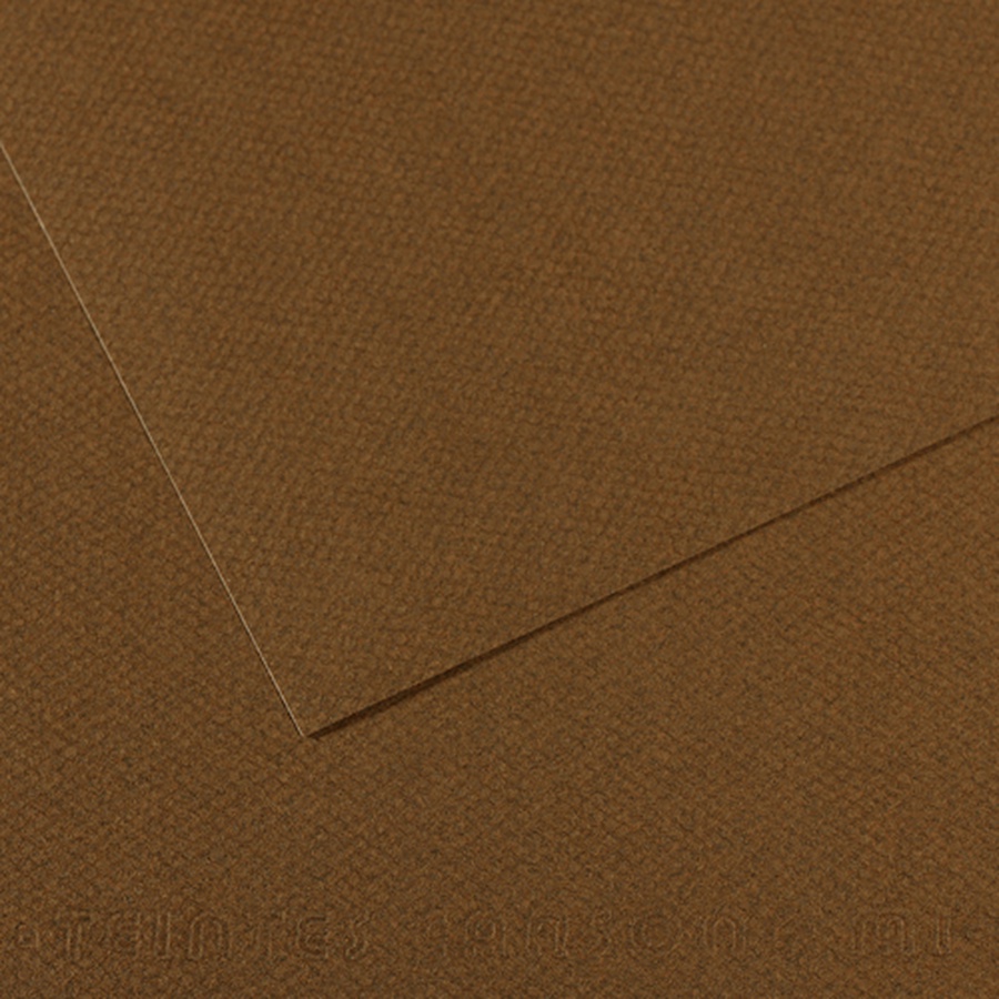 фото Бумага для пастели canson mi-teintes, 160 г/м2, лист 50х65 см, № 501 каштановый