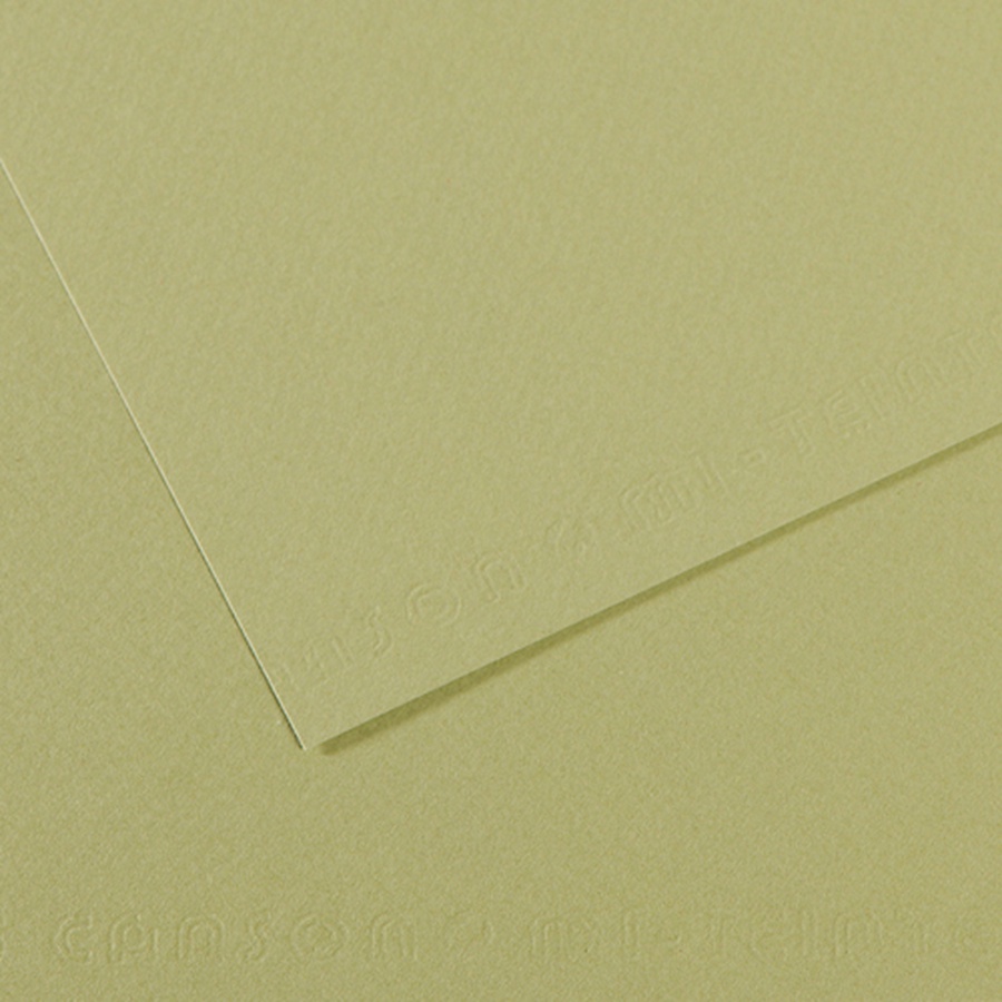 картинка Бумага для пастели canson mi-teintes, 160 г/м2, лист 50х65 см, № 480 светло-зелёный