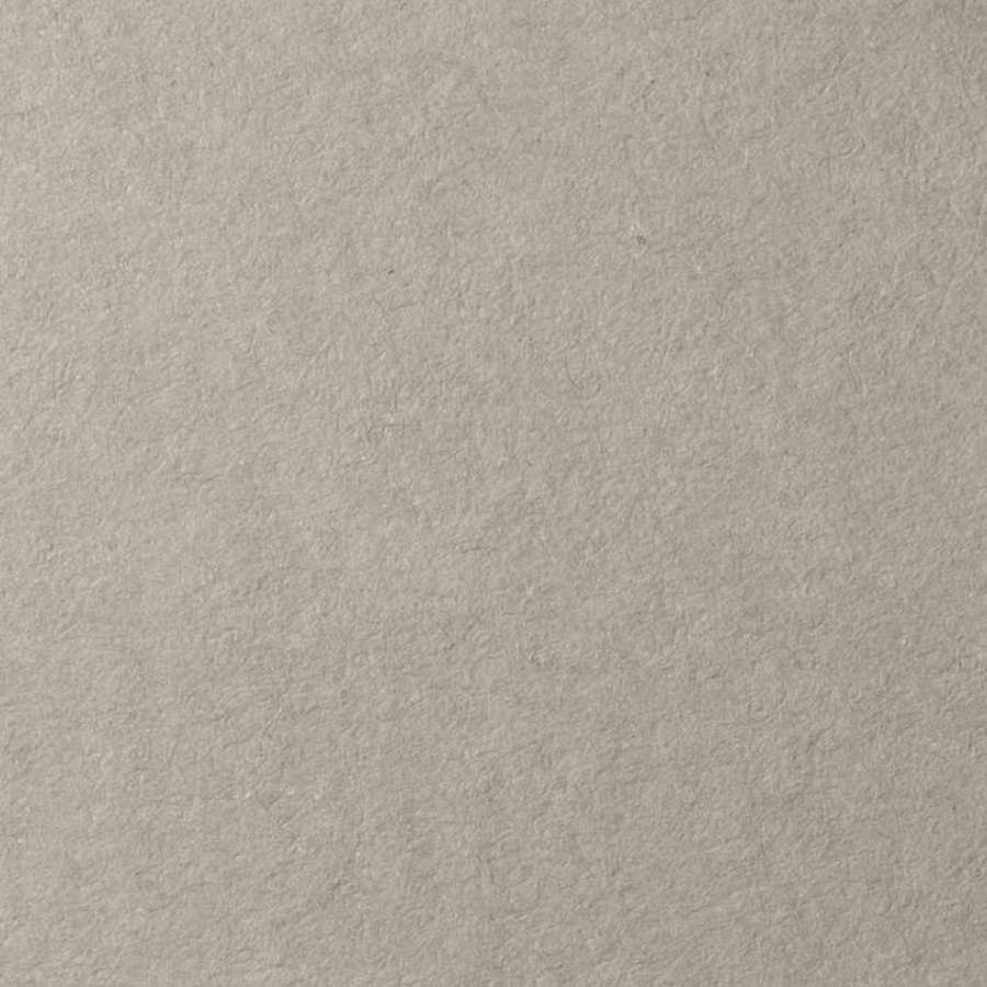 картинка Бумага для пастели lana, 160 г/м2, лист а4, холодный серый