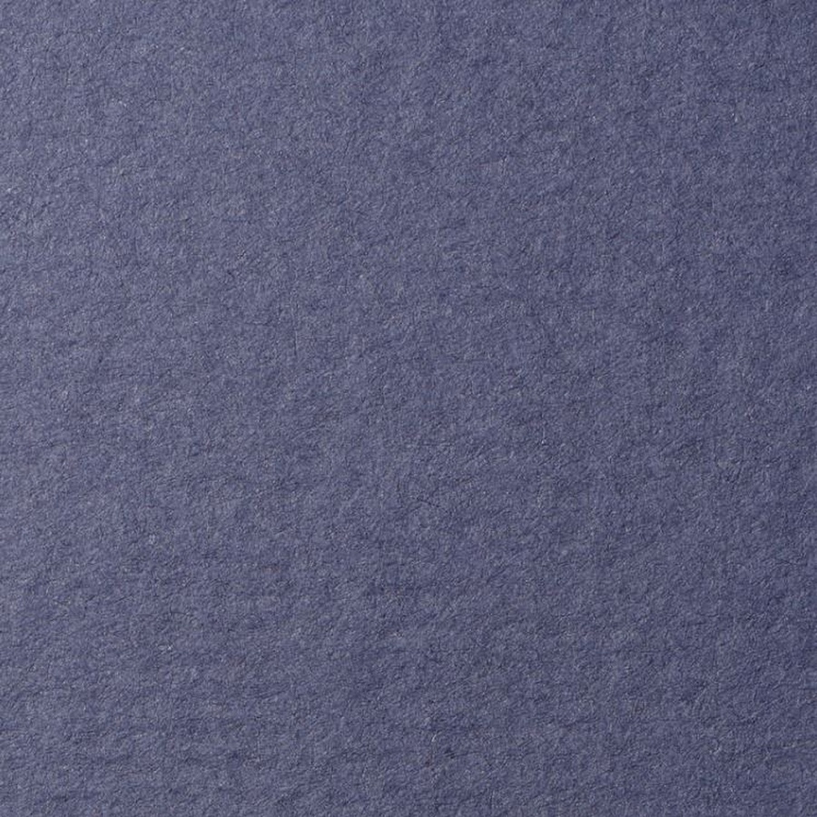 фото Бумага для пастели lana, 160 г/м2, лист а3, синий