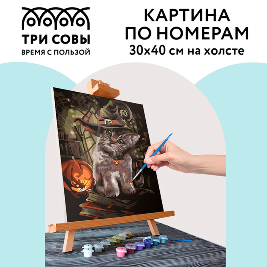 фотография Картина по номерам на холсте "заколдованный котик",30х40 см