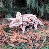 фотография Конструктор деревянный 3d ewa динозавр трицератопс