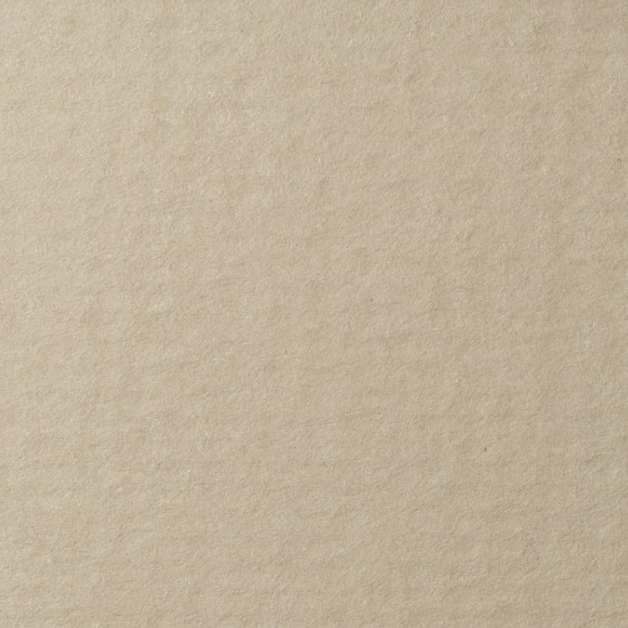 изображение Бумага для пастели lana, 160 г/м2, лист 70х100 см, жемчужный