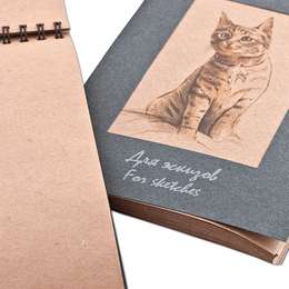 изображение Блокнот для эскизов гознак котенок, формат - а5, 50 листов