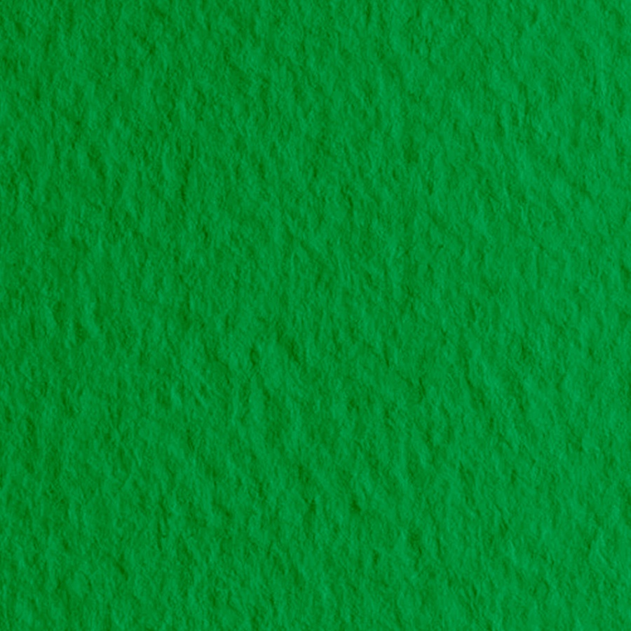 фото Бумага для пастели fabriano tiziano 160г 70x100 темно-зеленый