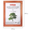 изображение Рамка 15х20 см, дерево, багет 18 мм, brauberg "pinewood", красное дерево, стекло, подставка