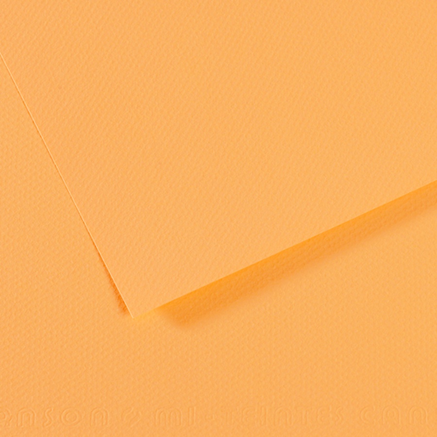 изображение Бумага для пастели canson mi-teintes, 160 г/м2, лист 50х65 см, № 470 кукурузный