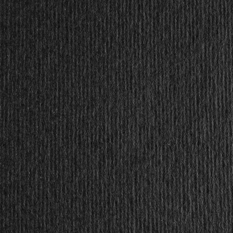изображение Бумага цветная fabriano cartacrea 220г 21x29,7 черная