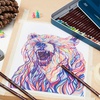 изображение Карандаш цветной derwent coloursoft c630 коричневая земля