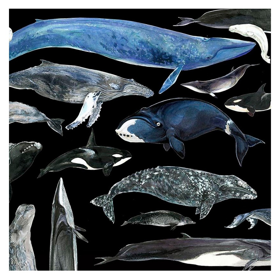 фотография Скетчбук maxgoodz pocket fox and owl black a6, 32 листа, 100 г/м2, киты
