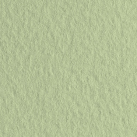 картинка Бумага для пастели fabriano tiziano, 160 г/м2, лист а4, зелёный светлый № 11