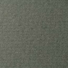 изображение Бумага для пастели lana, 160 г/м2, лист а4, виридоновый зелёный