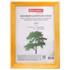 картинка Рамка 15х20 см, дерево, багет 18 мм, brauberg "pinewood", янтарь, стекло, подставка