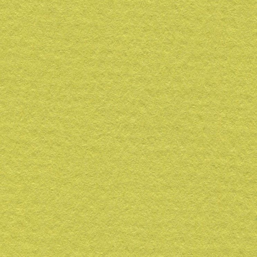 картинка Бумага для пастели lana, 160 г/м2, лист а4, фисташковый