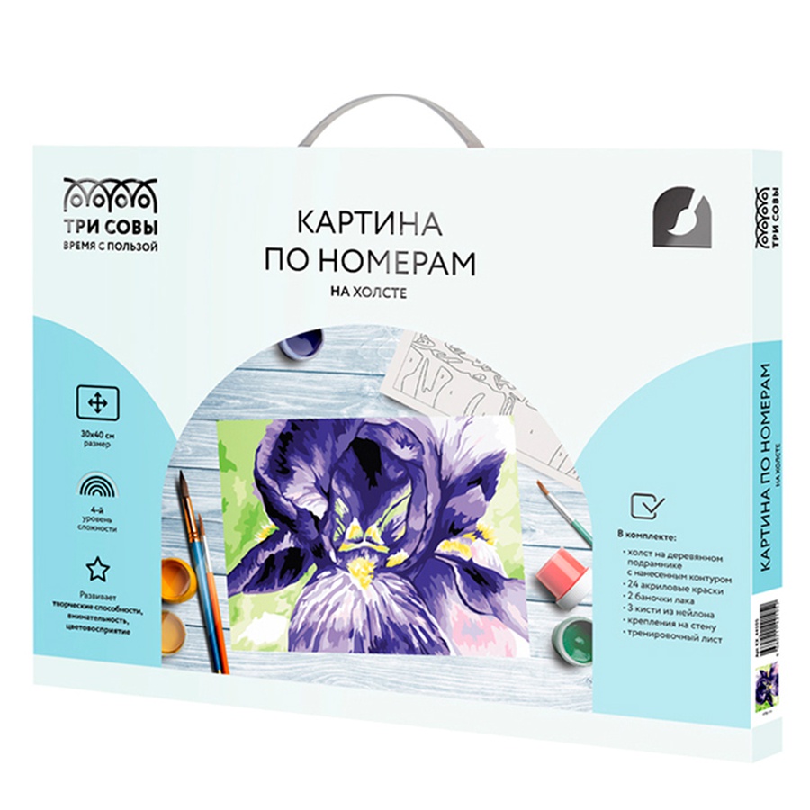 изображение Картина по номерам на холсте "ирис", 30х40 см