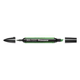 картинка Маркер спиртовой promarker winsor & newton, травяной g457