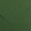 изображение Бумага цветная canson iris vivaldi, 240 г/м2, лист а4, № 31 тёмно-зелёный
