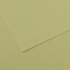 изображение Бумага для пастели canson mi-teintes, 160 г/м2, лист 75х110 см, № 480 светло-зелёный