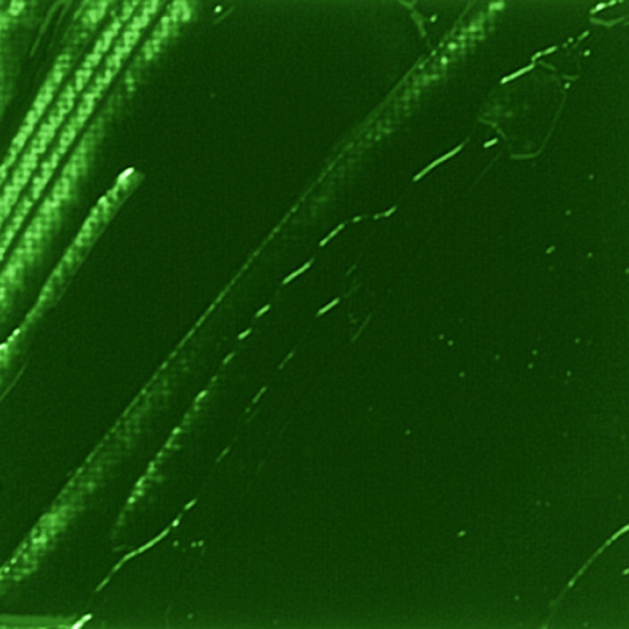 фотография Краска масляная pebeo xl  37мл изумрудный фталоцианин