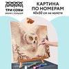 картинка Картина по номерам на холсте "полярная сова", 40х50 см