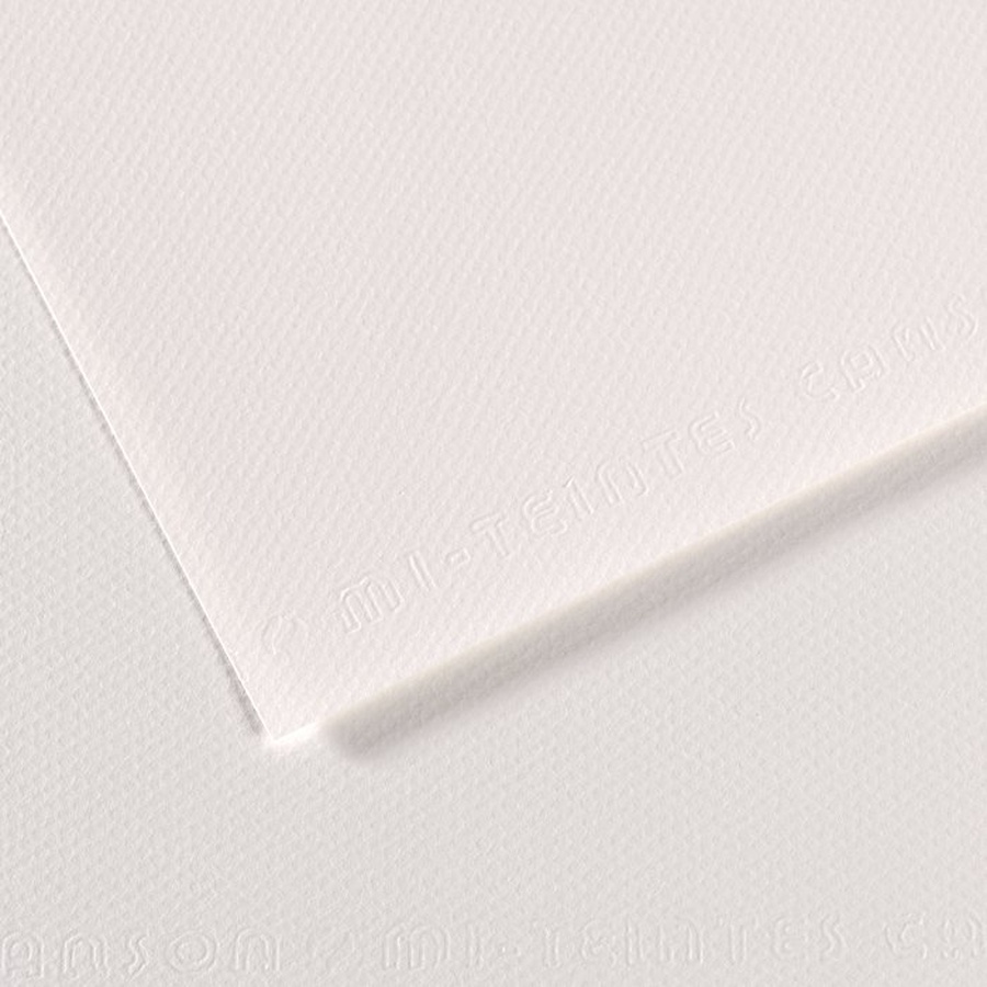 фото Бумага для пастели canson mi-teintes, 160 г/м2, лист а4, № 335 белый