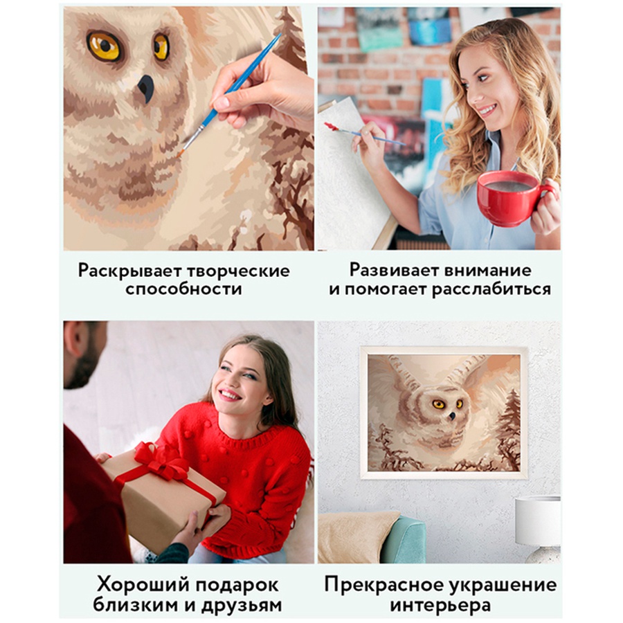 картинка Картина по номерам на холсте "полярная сова", 40х50 см