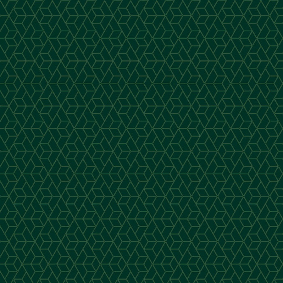 фото Бумага упаковочная глянцевая meshu "dark green" 70x100 см
