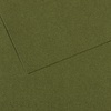 картинка Бумага для пастели canson mi-teintes, 160 г/м2, лист 75х110 см, № 448 плющ