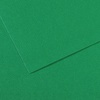 картинка Бумага для пастели canson mi-teintes, 160 г/м2, лист а4, № 575 тёмно-зелёный