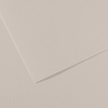 изображение Бумага для пастели canson mi-teintes, 160 г/м2, лист 75х110 см, № 120 жемчужно-серый