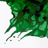 фотография Тушь художественная winsor & newton, 14 мл, блестящий зеленый