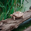 картинка Конструктор деревянный 3d ewa механическая черепаха